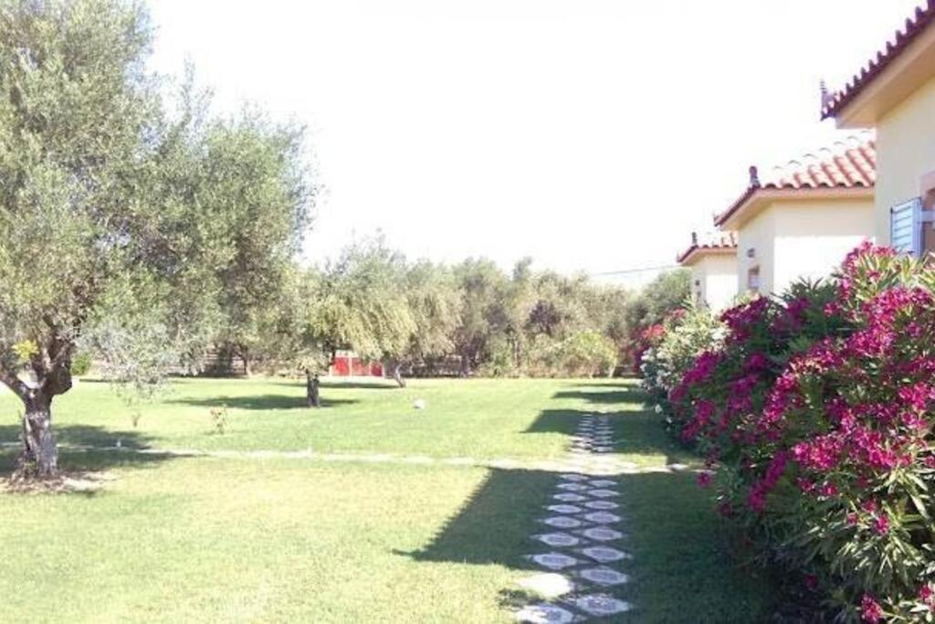 Phyllida Guest House - A2 ซาคาโร ภายนอก รูปภาพ